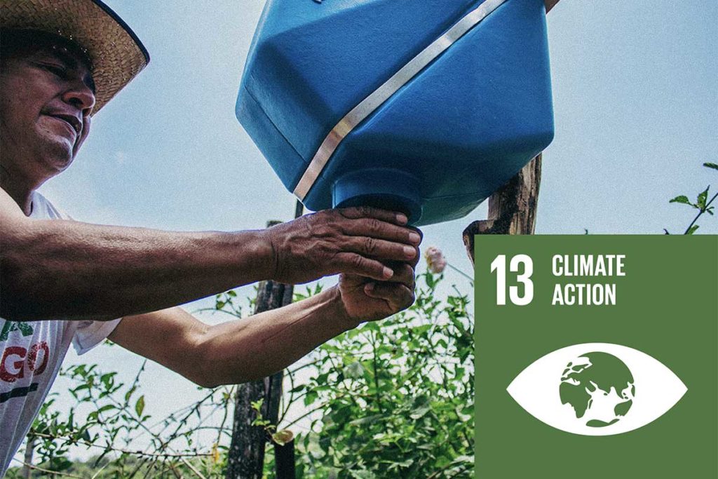 UN Sustainable Development Goal #13 - Climate Action